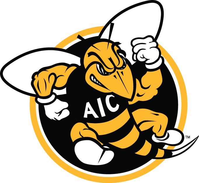 AIC Yellow Jackets 2009-Pres Alternate Logo diy DTF decal sticker